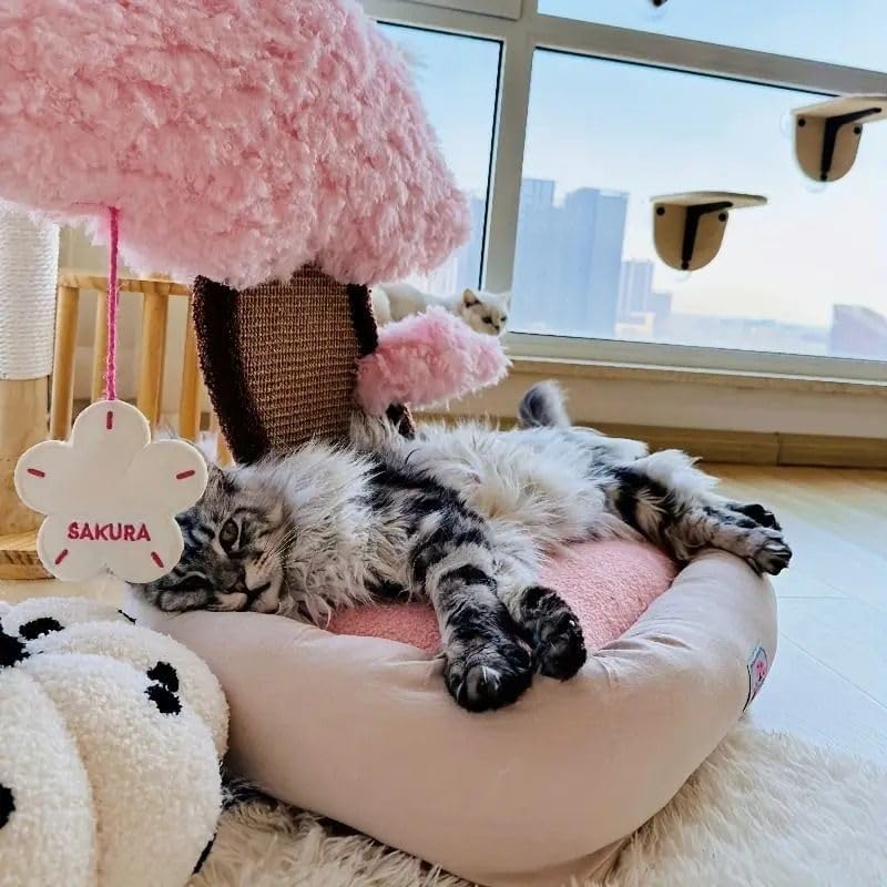 almondtree様 リクエスト 7点 まとめ商品 楽天市場】☆セール20％OFF☆[アモスタイル]きゅっと寄せブラ